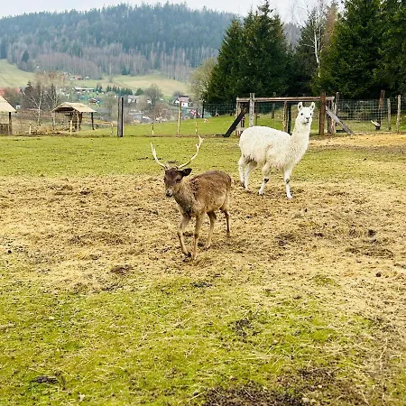 Sielanka Dom Caloroczny * Chwaliszow