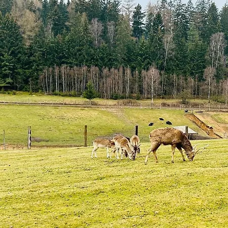 Sielanka Chwaliszów Dom Całoroczny
