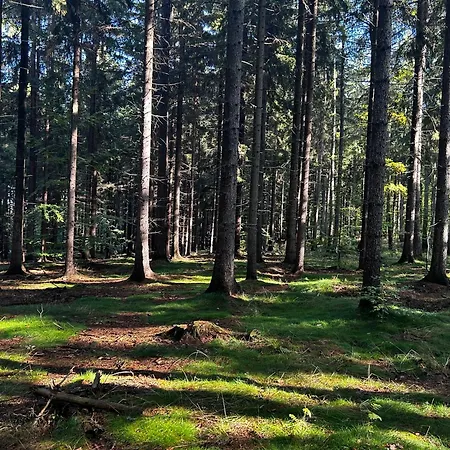 Sielanka Dom Caloroczny