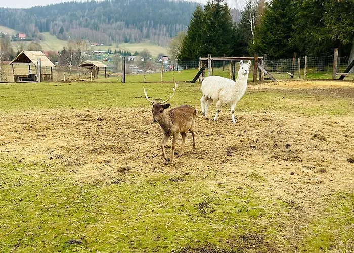 Sielanka Dom Caloroczny * Chwaliszow