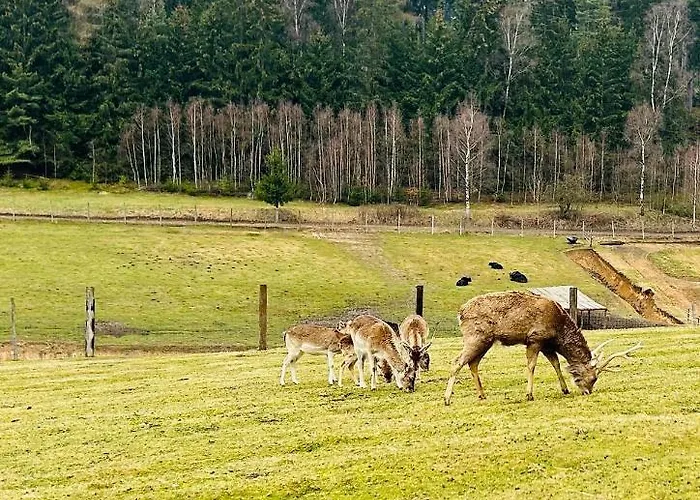Sielanka Dom Caloroczny