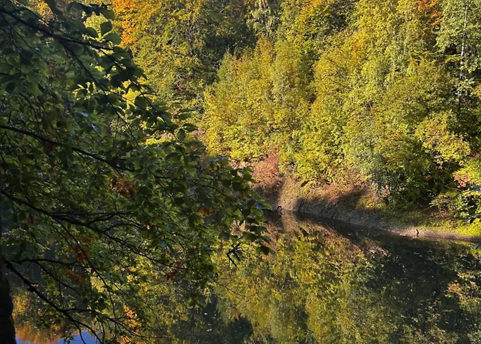 Sielanka Dom Caloroczny Дом отдыха Chwaliszow