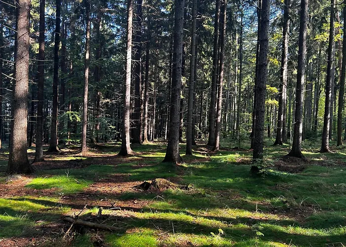 Sielanka Dom Caloroczny