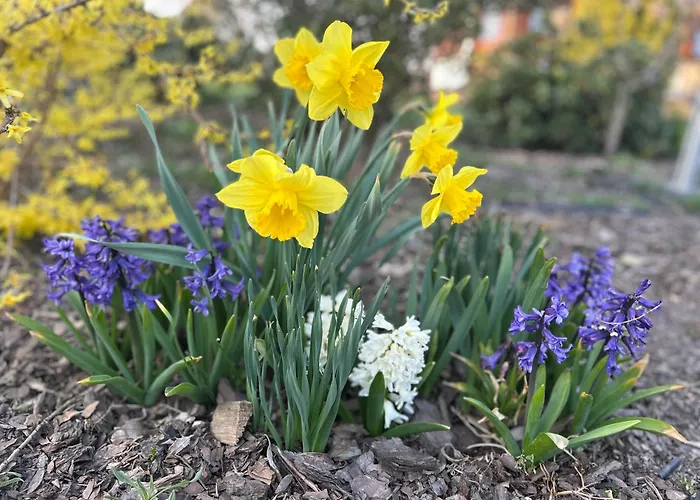 Sielanka Dom Caloroczny